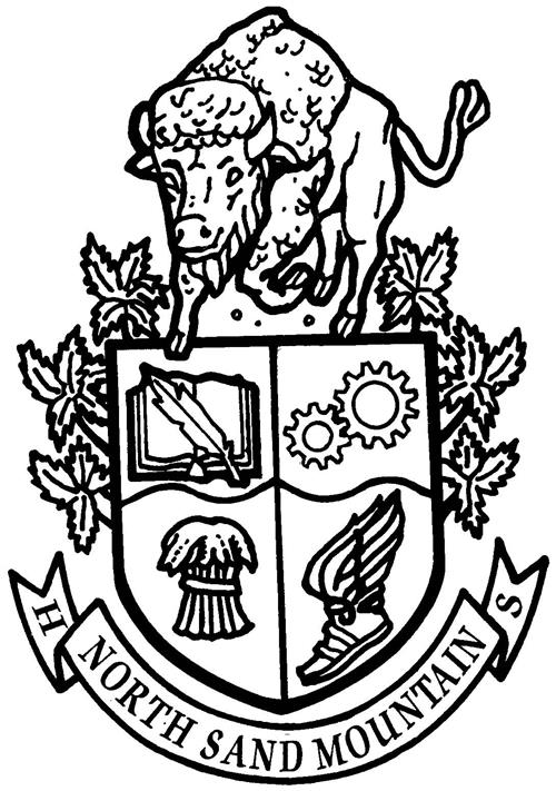 NSM crest 